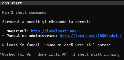 Serverul pornit și adresa afișată de Claude Code.